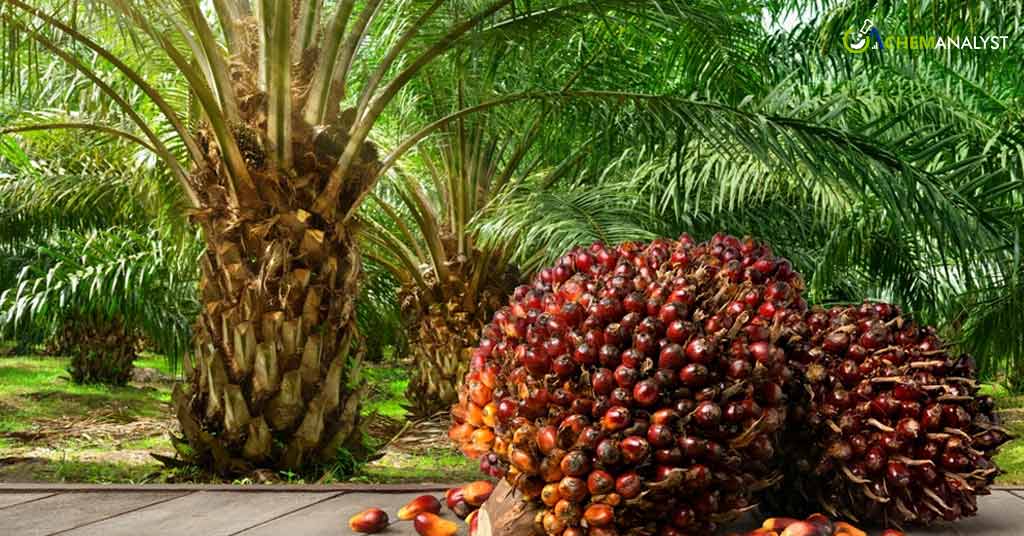AALI's 1.5 Trillion IDR Commitment to Sustainable Palm Oil and Plant Rehabilitation