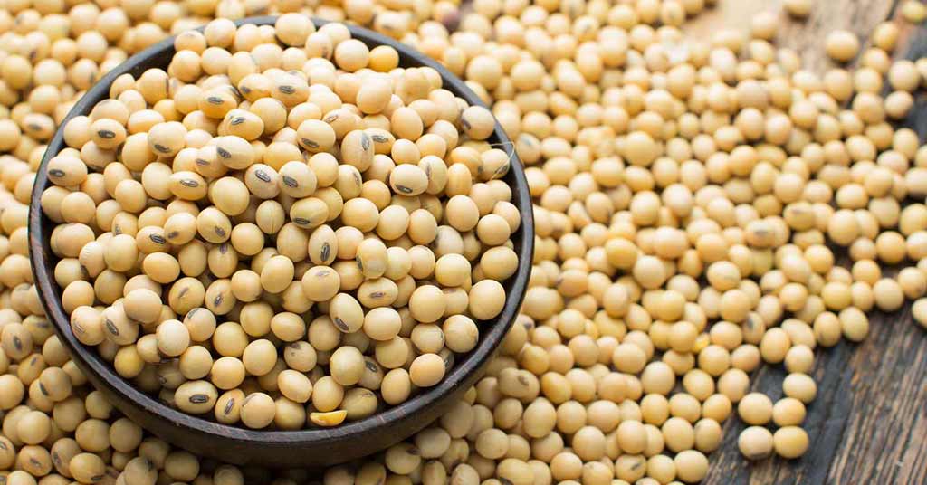 Additional Shipment of Russian Soybeans Energizes China's Trade Scene