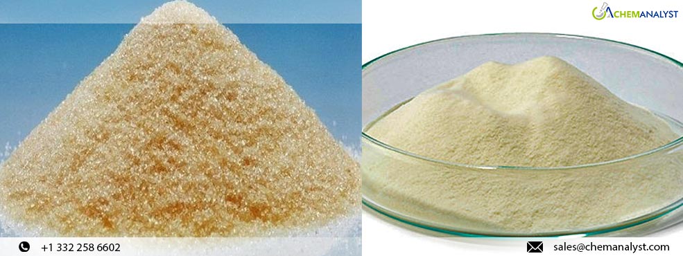 Agar-Agar Prices Set to Surge Globally in March Amidst Growing Demand Across Industries