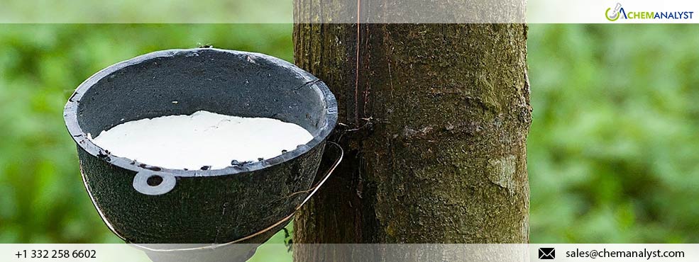 Anticipated Decline in Natural Rubber Prices in May Amid Market Dynamics