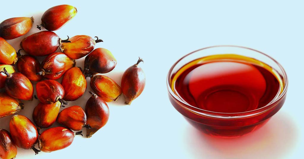 April Shows a Spike in Palm Oil Prices; What Do Experts Say?