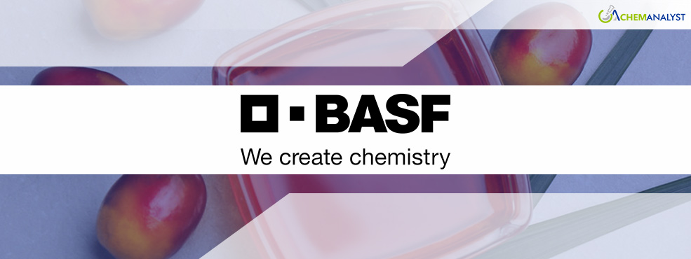 BASF to Procure Macauba Oil from Brazil as Palm Oil Alternative