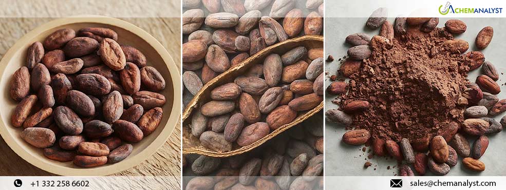 Bitter Brew: Cocoa Bean Prices Soar on Supply Wanes and Market Speculations