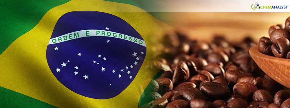 Brazil Drought Drives Surge in Coffee Prices, Raising Concerns for the Industry’s Future