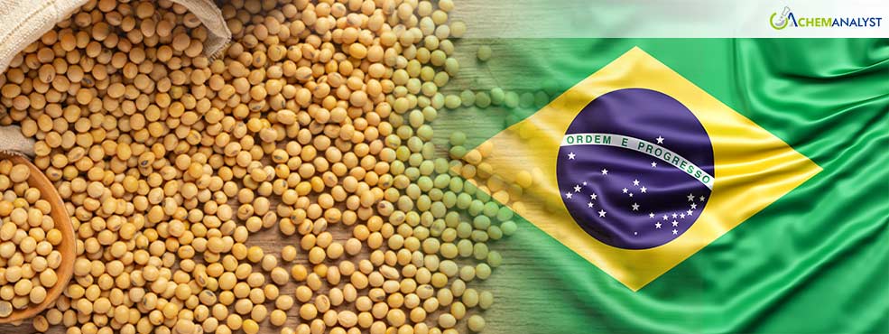 Brazil Set to Double Soybean Processing to Meet Growing Biodiesel Demand