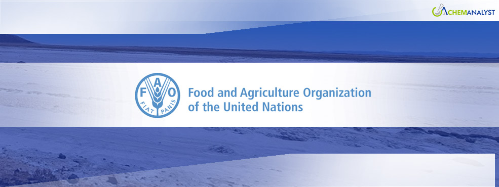 Breaking: FAO Unveils Landmark Global Assessment of Salt-Affected Soils After 50 Years