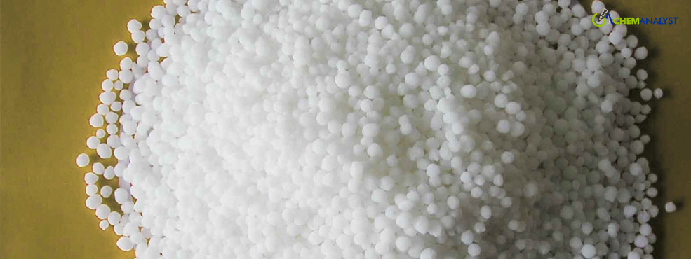 Global Calcium Nitrate Markets Hold Steady Ground in Feb 2024, despite China goes off-stream