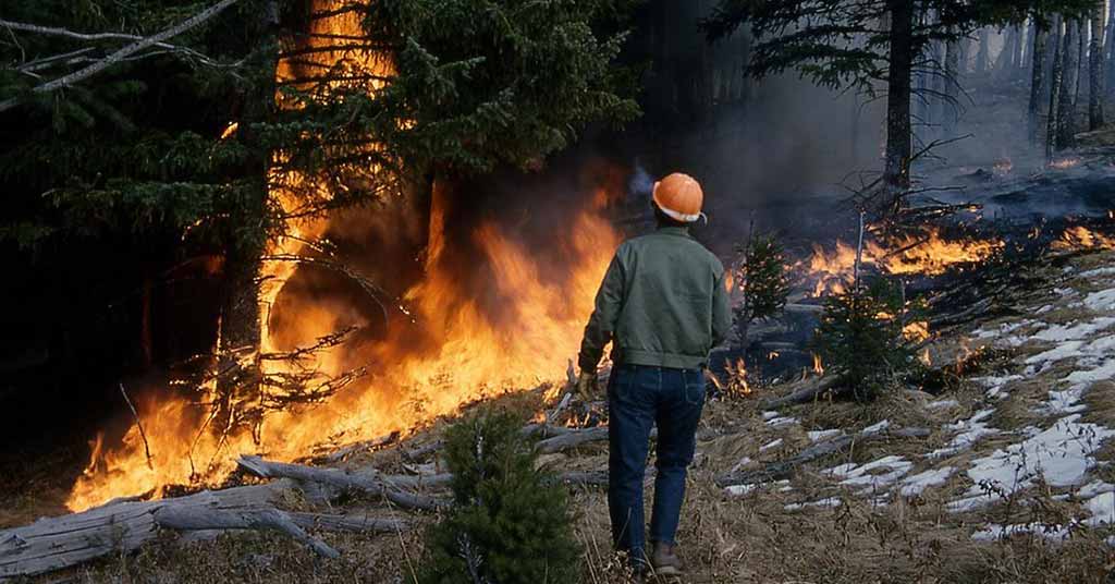 Canada Wildfires Trigger Evacuations and Disrupt Oil Production
