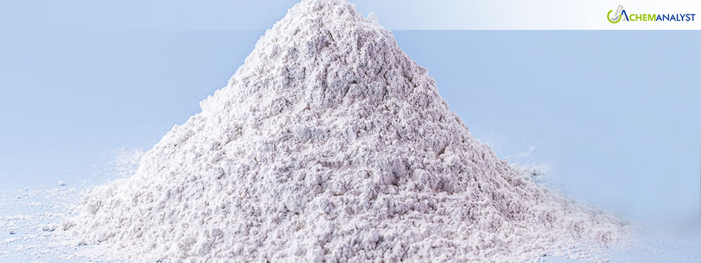 Caprolactam Market Ends 2024 with Mixed Regional Trends