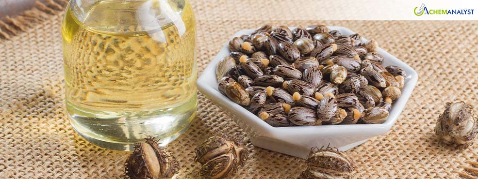 Castor Oil Market Trends: Balancing Demand with Supply Constraints anticipates in November 2024