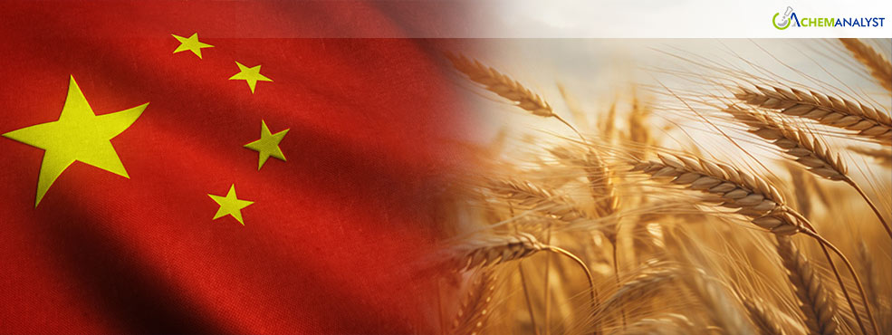 China's Grain Harvest Set for Record, Bolstering Self-Sufficiency Push