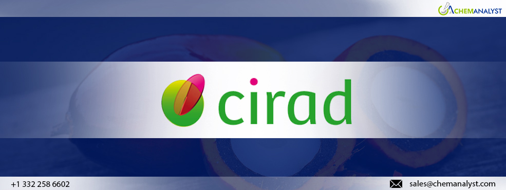 CIRAD Launches Comprehensive Roadmap for Eco-friendly Oil Palm Farming