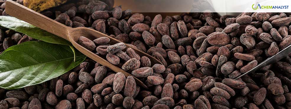 Cocoa and Coffee Prices Surge Amid Supply Concerns, Affecting Global Beverage Market