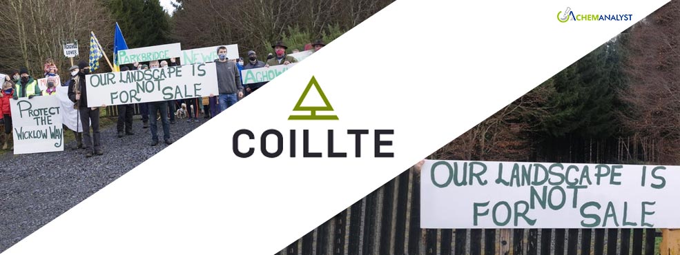 Coillte Faces Criticism for Delaying Lithium Exploration in Wicklow Forest