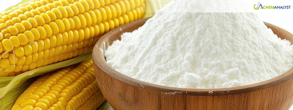 Corn Starch Prices Surge to Unprecedented Heights in February 2025