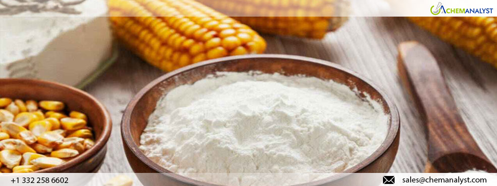 Decrease in Corn Starch Prices in April Anticipates Further Decline in May 2024