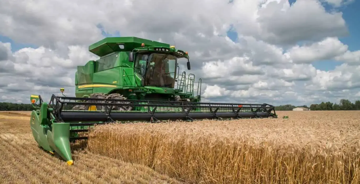 Despite Export Challenges, Ukraine Anticipates Unchanged Winter Wheat Sowing