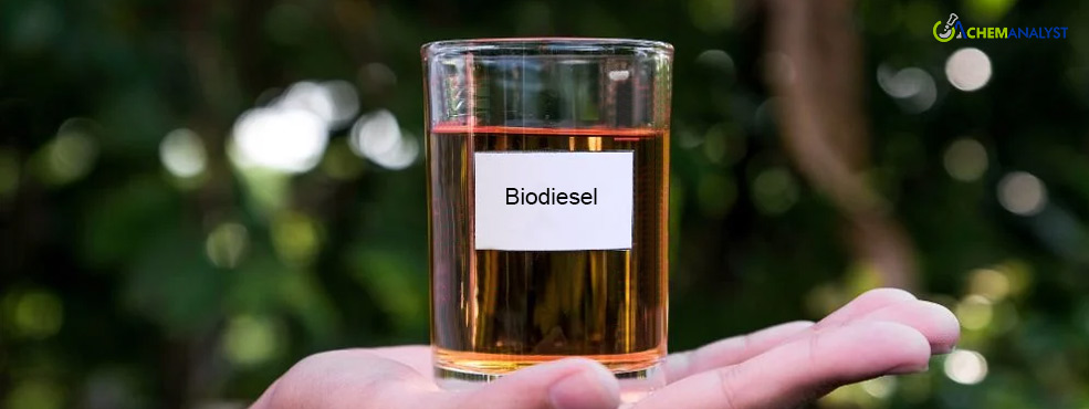 Divergent Trends: Global Biodiesel Market Grapples with Price Fluctuations Amid Demand Oscillations