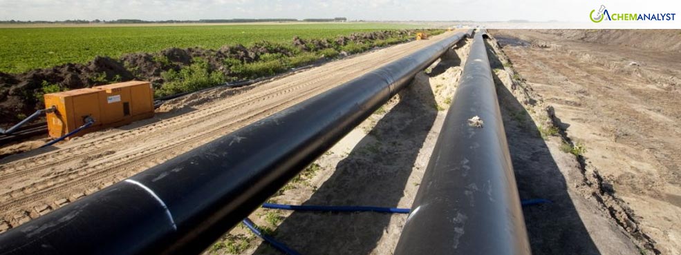 Dutch Government Scraps Plan to Combine Hydrogen Pipeline with Power Cables in Delta Rhine Corridor Project