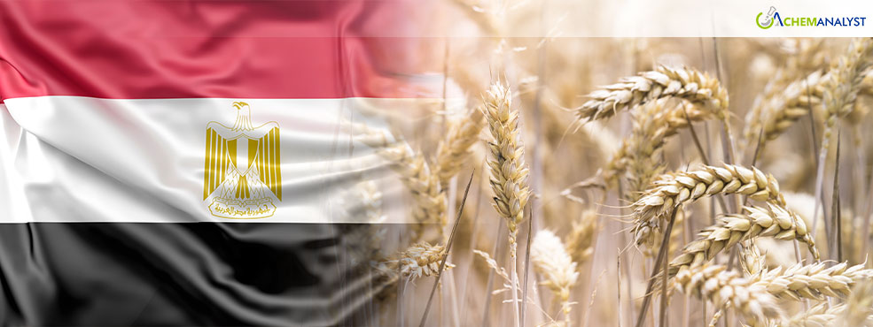 Egypt’s First Imported Wheat Shipment Signals Shifts in the Chemical Industry’s Supply Chain