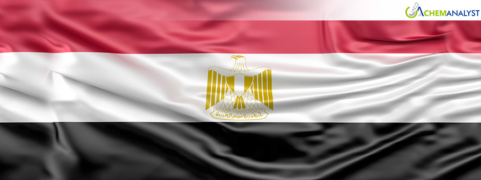 Egyptian Chemical Industries Seek Expansion in Tanzanian Market