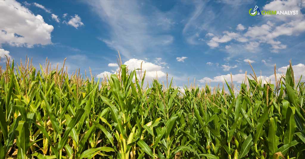 EPA Grants Approval to BASF's Surtain Herbicide