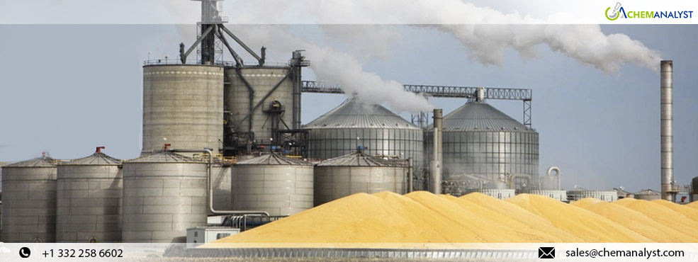 Ethanol Stocks Experience Slight Decline Amidst Production Dip