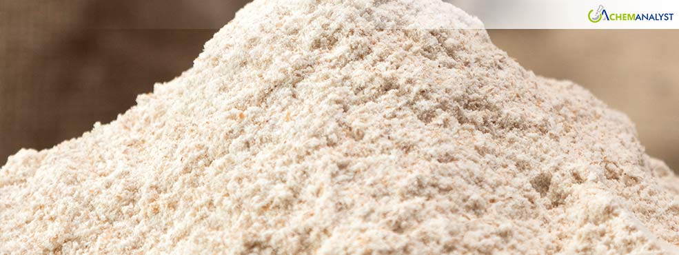 European Cellulose Ether Market Holds Steady Amid Cost Pressures and Weak Demand