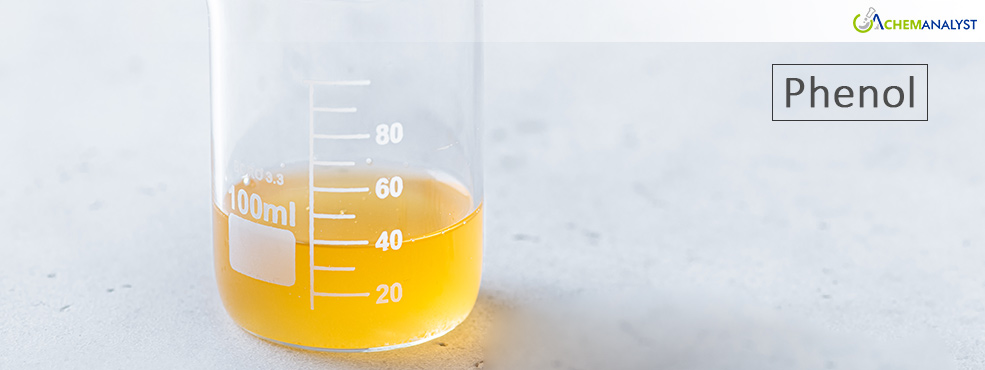 European Phenol Price Tries to Rebound in Feb 2025, Still Hovers at a Low