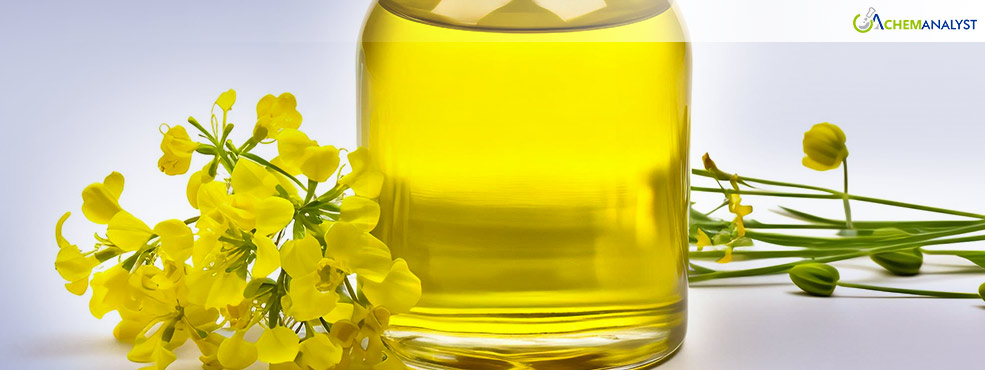 European Rapeseed Oil Market Faces Price Plunge