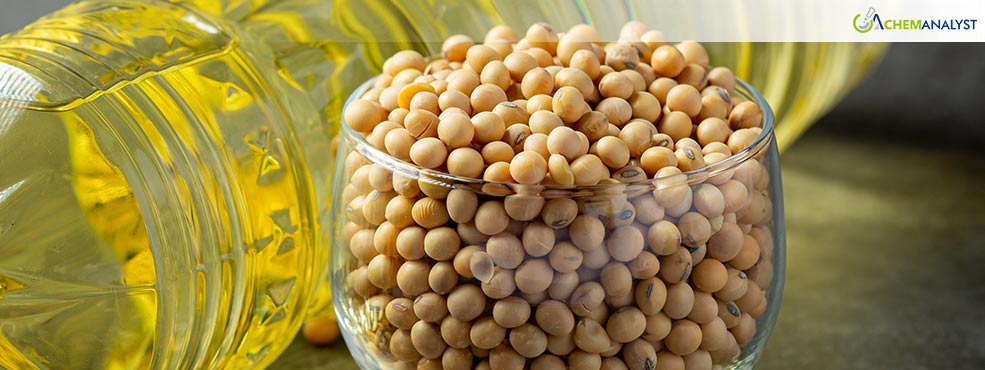 European Soya Lecithin Market Faces Continued Price Pressure Through Q4 2024