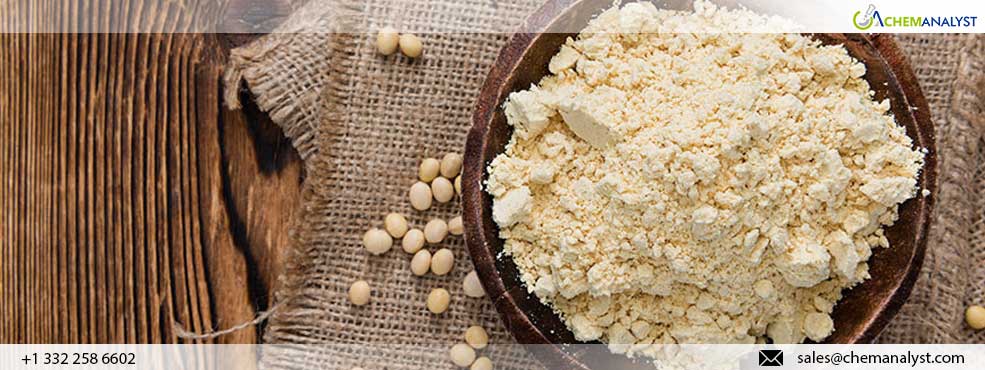 European Soya Lecithin Prices to Plummet in September 2024