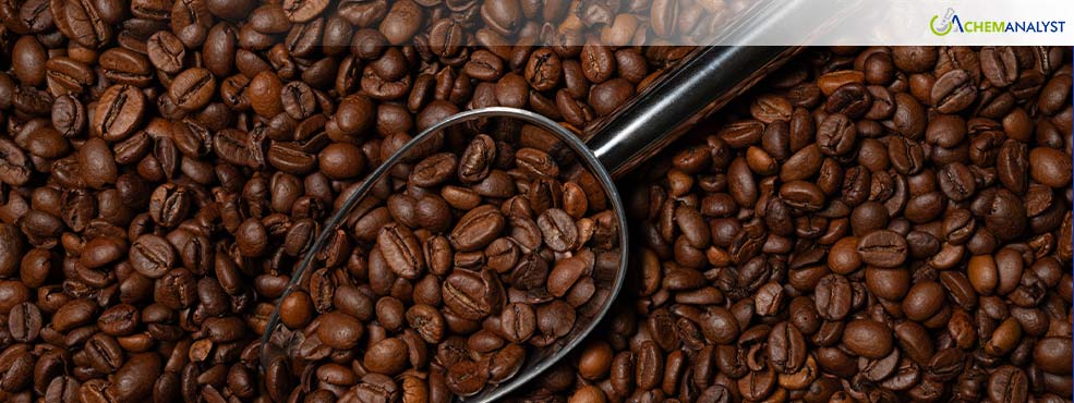 Exclusive: Global Coffee Prices Hit Record Highs, Sparking Cost Concerns