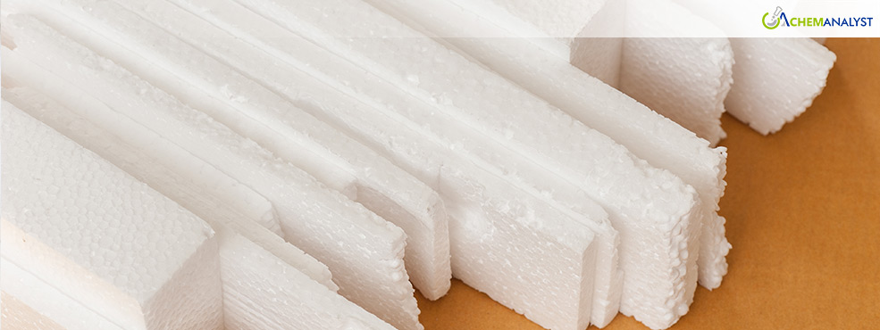 Expanded Polystyrene Market in Belgium Remains Bearish in December 2024