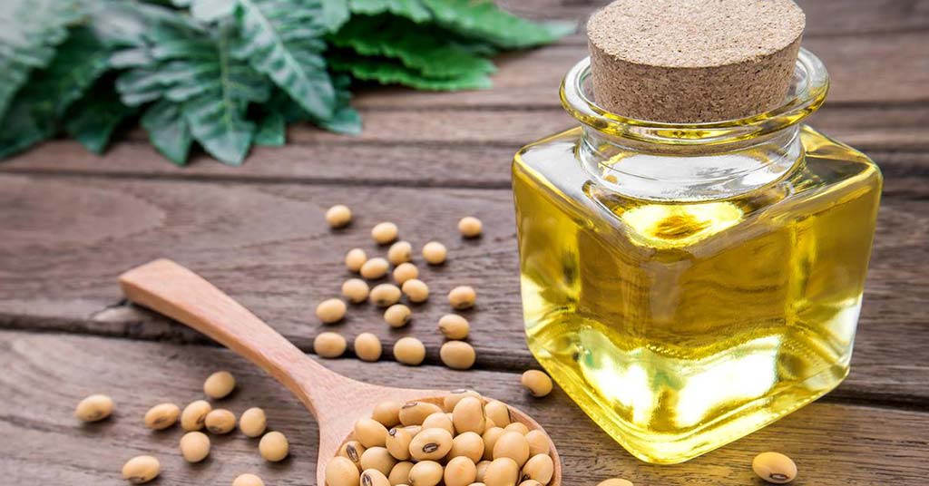 Factors Affecting Soybean Oil Prices in the US