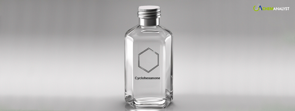 Feb 2024: Cyclohexanone Prices Stabilizes in US and rise in Europe, here is What to Expect Next