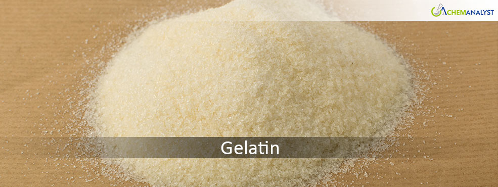 Global Gelatin Market to See Price Increases in Early 2025, Driven by Demand and Supply Chain Pressures