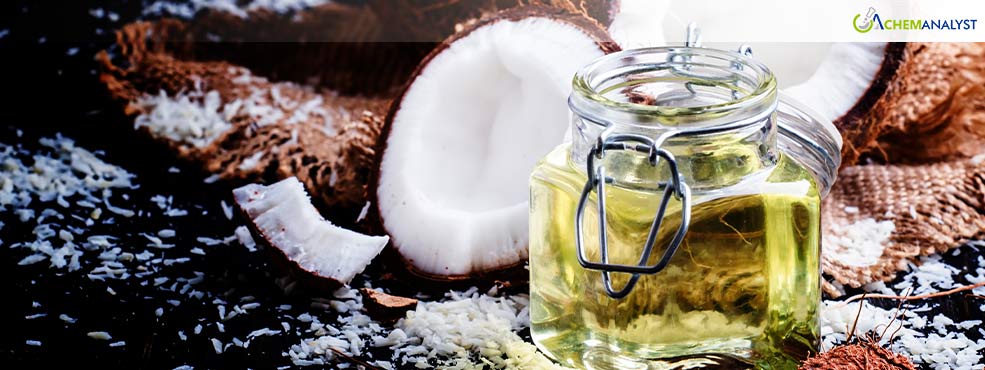 Global Coconut Oil Market Sees Continued Price Surge in November 2024