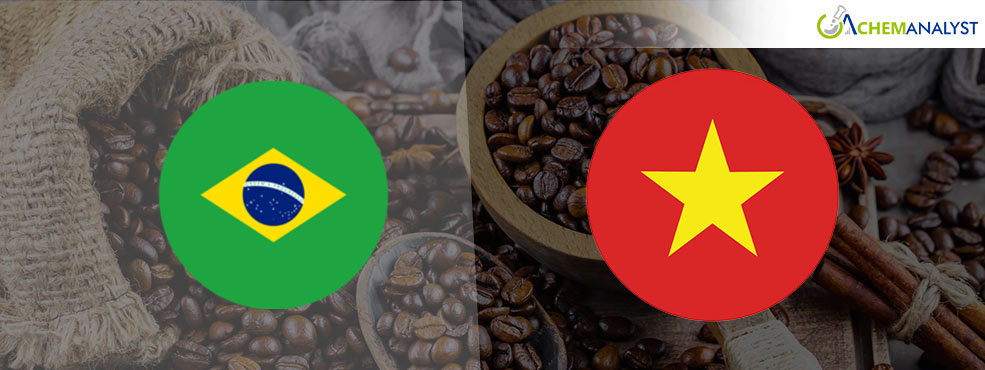 Global Coffee Prices Set for Surge Amid Harvest Failures in Brazil and Vietnam