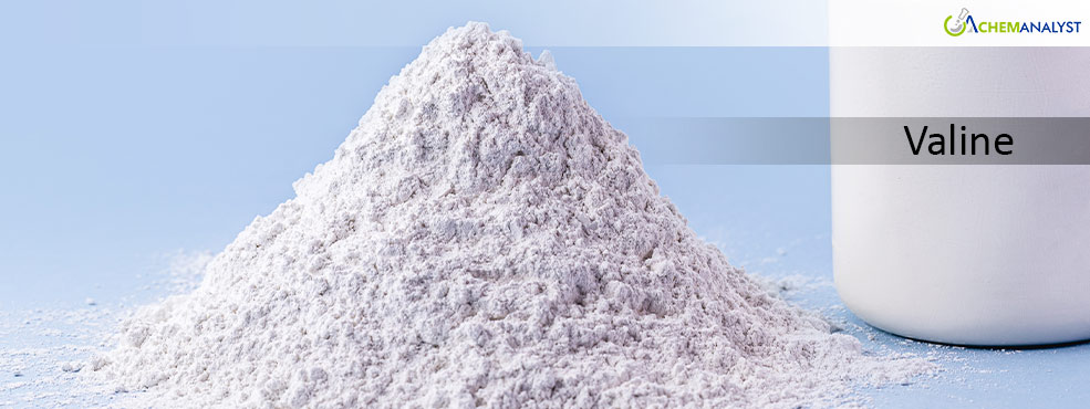 Global L-Valine Prices Expected to Surge at a steady rate as 2025 begins