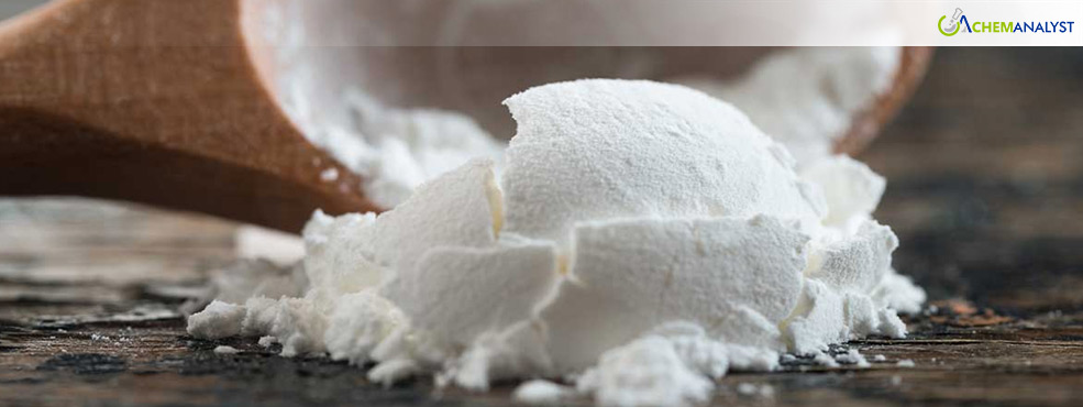 Global Maltodextrin Market Faces Sustained Pricing Pressures in the end of 2024