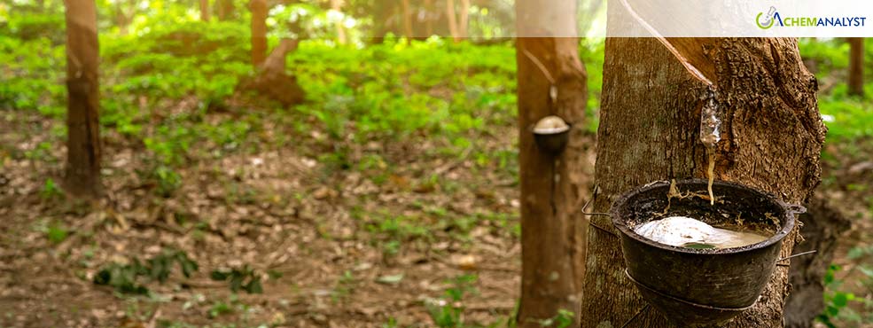 Global Natural Rubber Market Faces Decline Amid Improved Supply in January 2025 