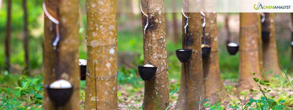 Global Natural Rubber Prices Continue Upward Trajectory Amid Supply Shortages