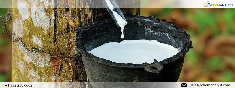 Global Natural Rubber Prices Set to Surge in August