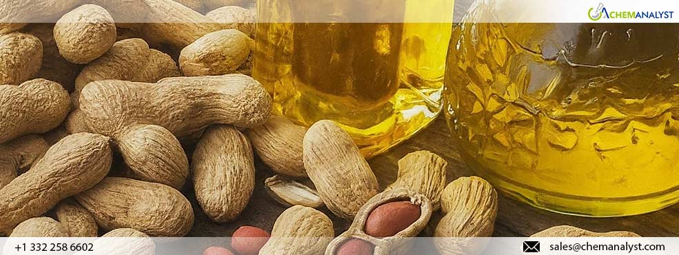 Global Peanut Oil Prices Decline Amidst Strong Supply and Weak Demand