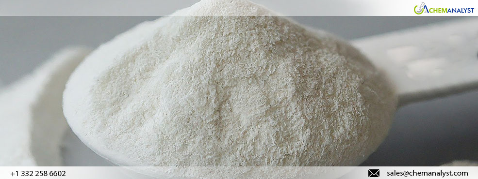 Global Sodium Bicarbonate Market Experiences Divergent Price Trends in July 2024