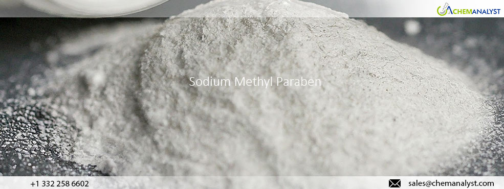 Global Sodium Methyl Paraben Market Surges Amid Geopolitical Tensions and Logistical Challenges