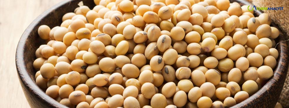 Global Soy Protein Isolate Prices to Remain Subdued Amidst Weak Market Sentiments