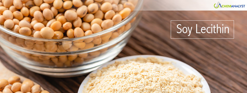 Global Soya Lecithin Market Outlook: Stability Amid Evolution in 2025