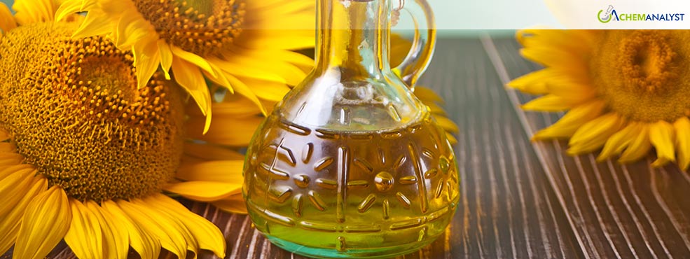 Global Sunflower Oil Market Faces Supply Constraints and Price Hikes